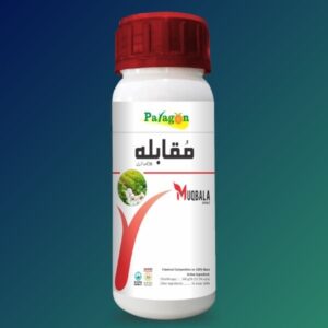 Muqabla