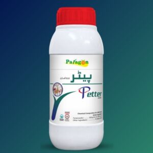 Petter