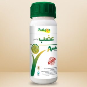 Azab